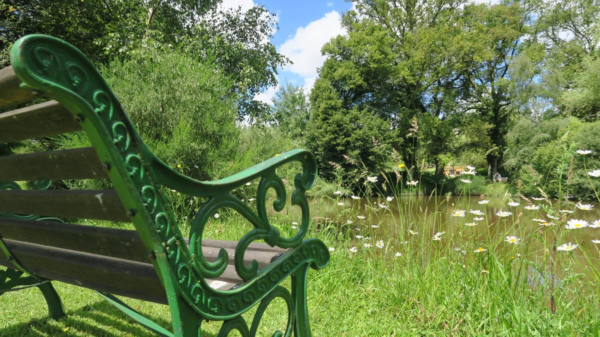 La Bazeuge Serenite Verte A La Tuilerie Accommodation מראה חיצוני תמונה